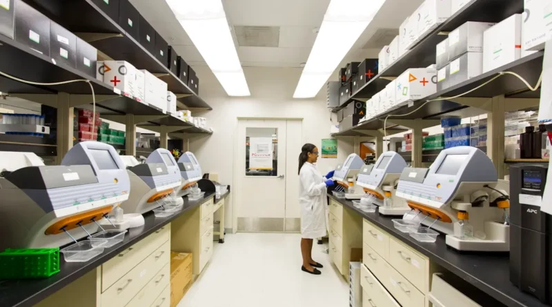 OMS alerta: 35 millones casos cáncer 2050 sin cambios urgentes políticas OMS alerta: 35 millones casos cáncer 2050 sin cambios urgentes políticas